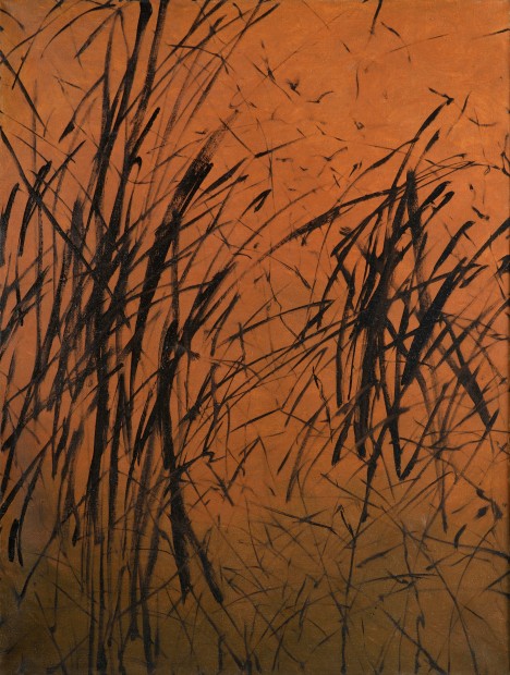 Jiří Voves - Cesty
